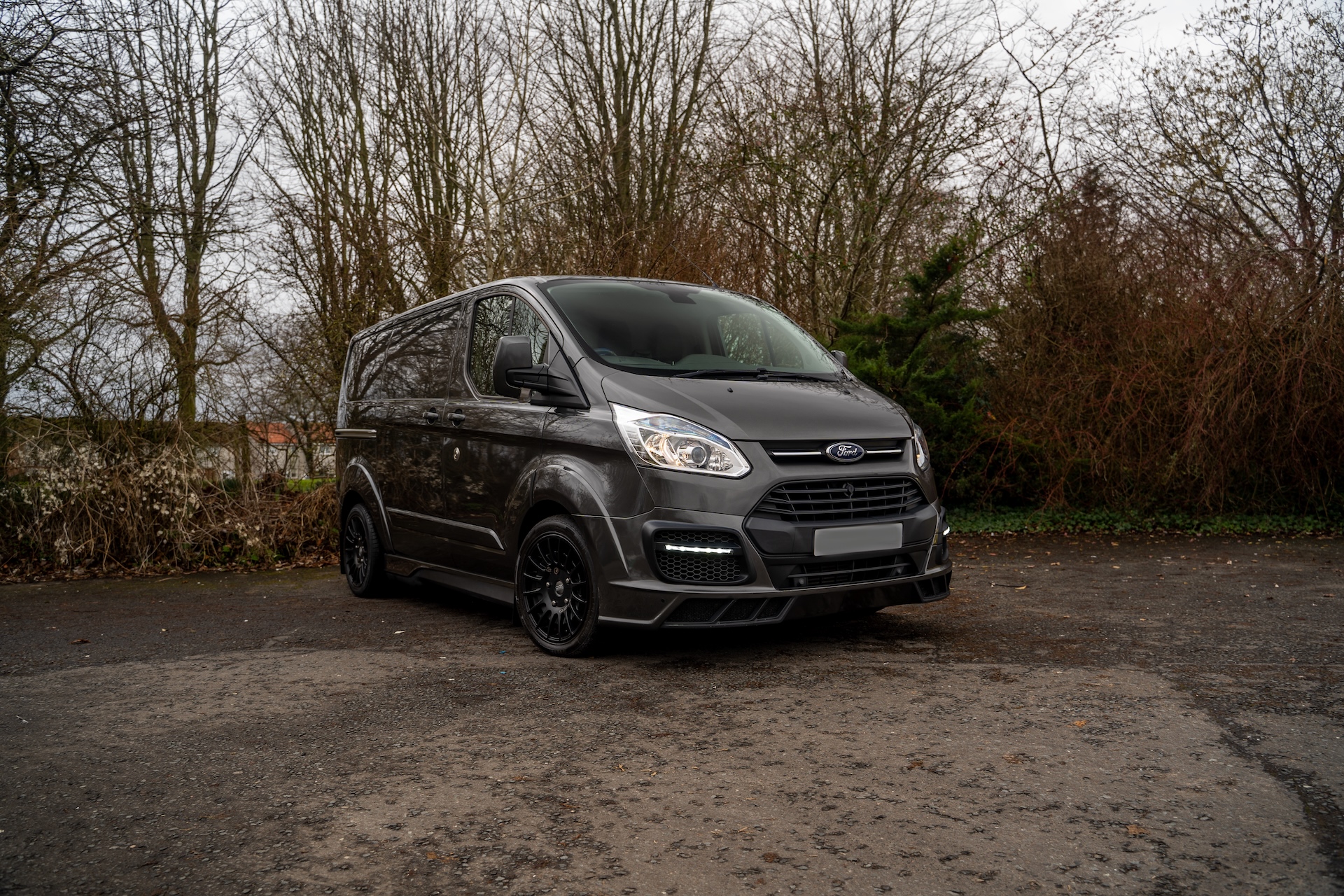 
								Ford Transit Custom M Sport/MSRT 2016 2.2 Panel Van full									